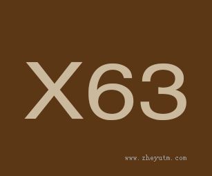 X63