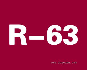 R-63