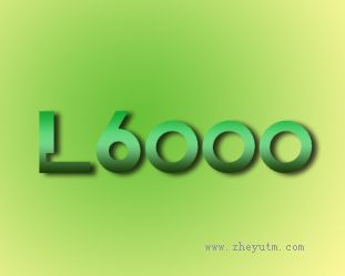 L6000