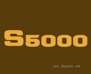 S5000