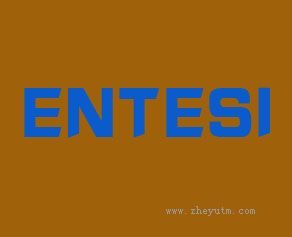 ENTESI