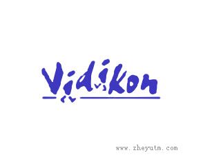 VIDIKON