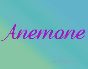ANEMONE