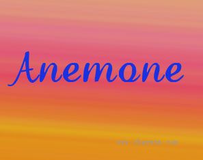 ANEMONE