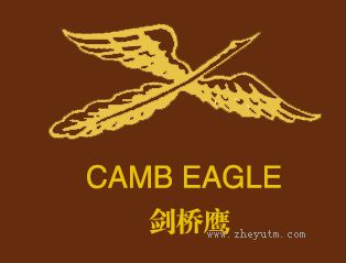 剑桥鹰;CAMB EAGLE