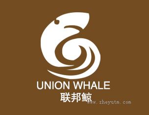 联邦鲸UNION WHALE