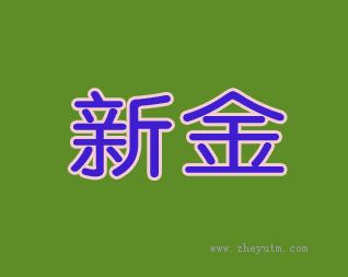新金