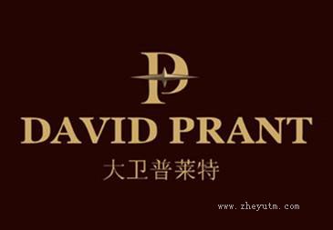 大卫普莱特 DAVID PRANT P