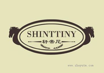 轩帝尼 SHINTTINY