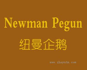 纽曼企鹅 NEWMAN PEGUN