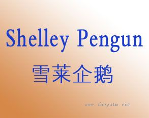 雪莱企鹅 SHELLEY PENGUN
