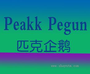 匹克企鹅 PEAKK PEGUN