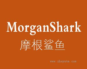摩根鲨鱼 MORGANSHARK