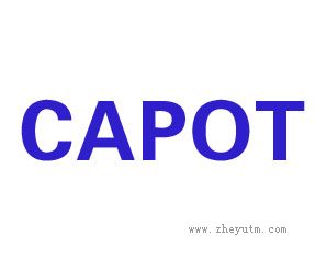 CAPOT