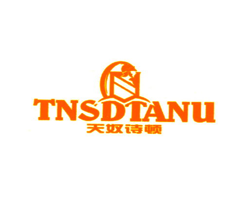 天奴诗顿 TNSDTANU
