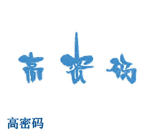 高密码