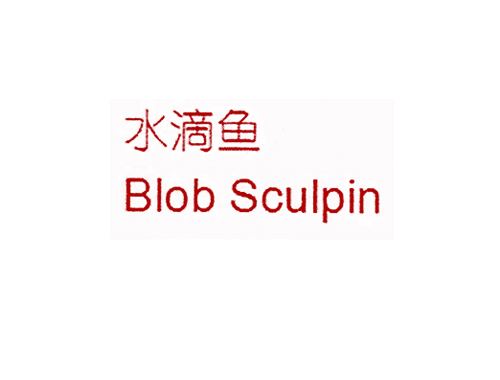 水滴鱼 BLOB SCULPIN