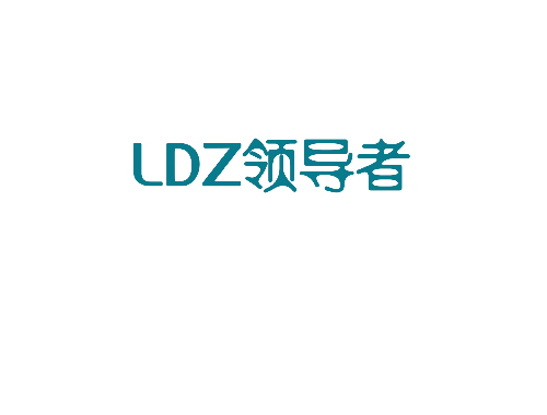 领导者 LDZ