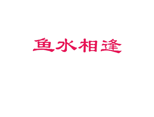 鱼水相逢