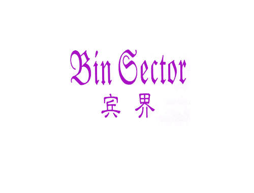 宾界 BIN GECTOR