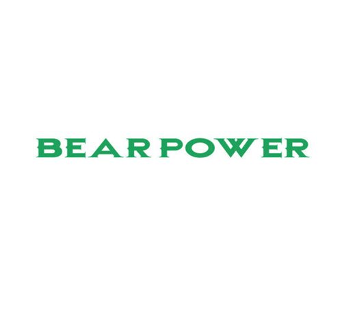 BEAR POWER