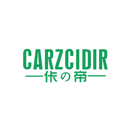 佧帝 CARZCIDIR
