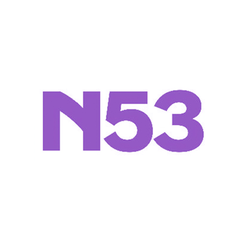 N53