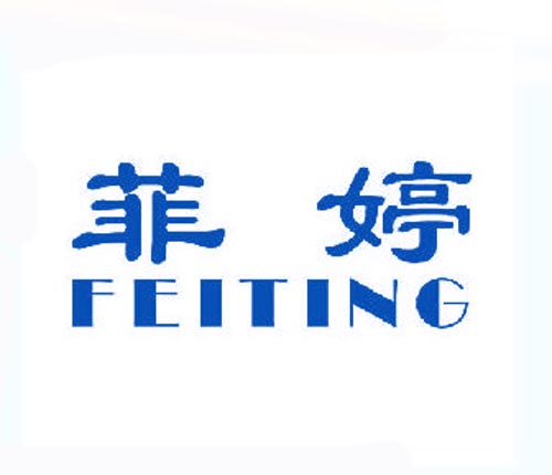 菲婷FEITING