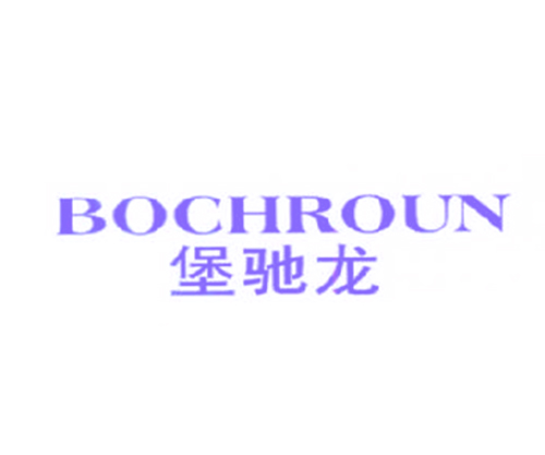 堡驰龙 BOCHROUN