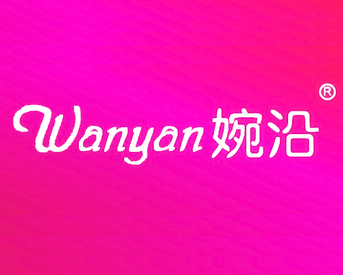 婉沿