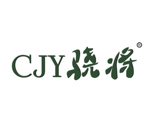 骁将 CJY