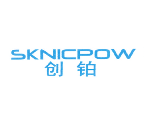 创铂 SKNICPOW