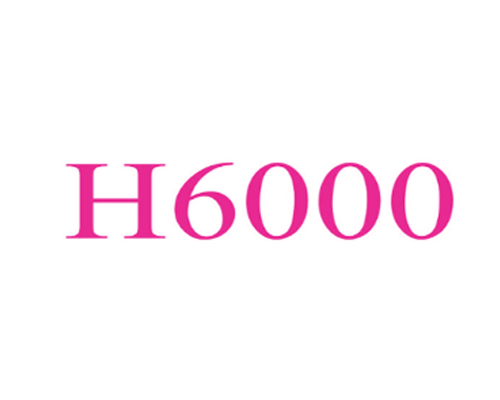 H 6000
