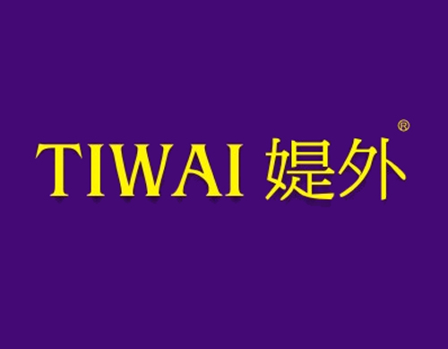 媞外