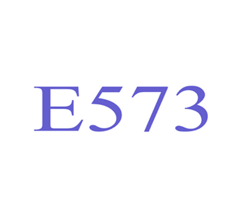 E573