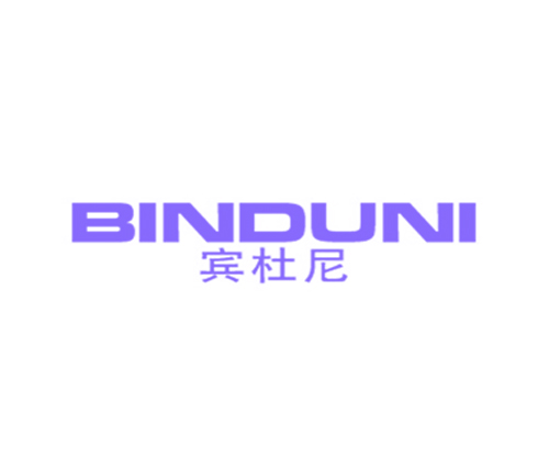 宾杜尼