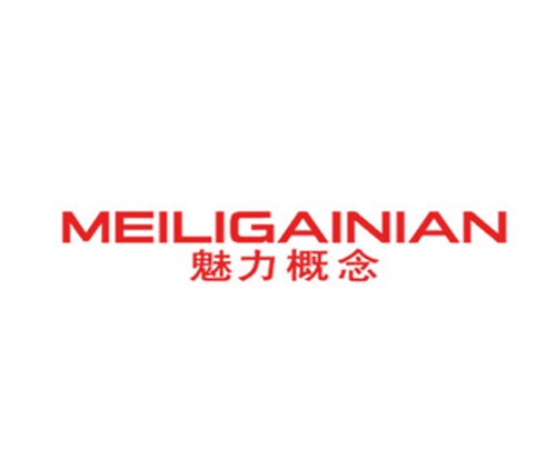 魅力概念