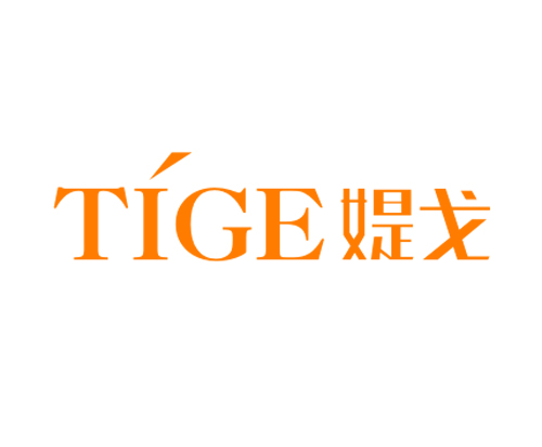 媞戈