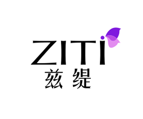兹缇