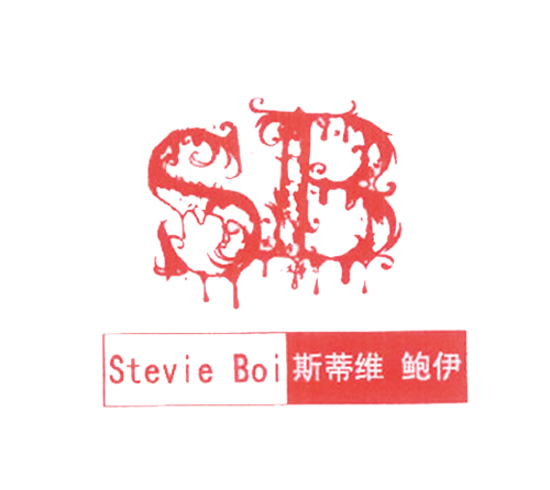 斯蒂维鲍伊 STEVIE BOI SB