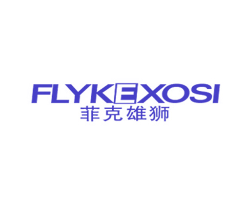 菲克雄狮 FLYKEXOSI